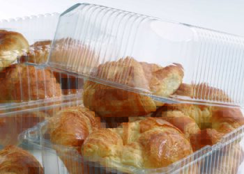 Breakfast Ideas for Festival Lovers